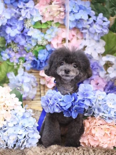 20250618NEROちゃん